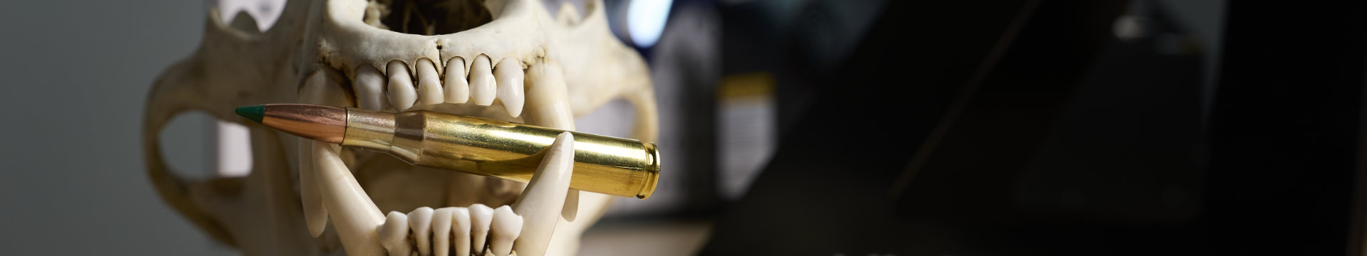 Do you need a big bore to hunt big boar?